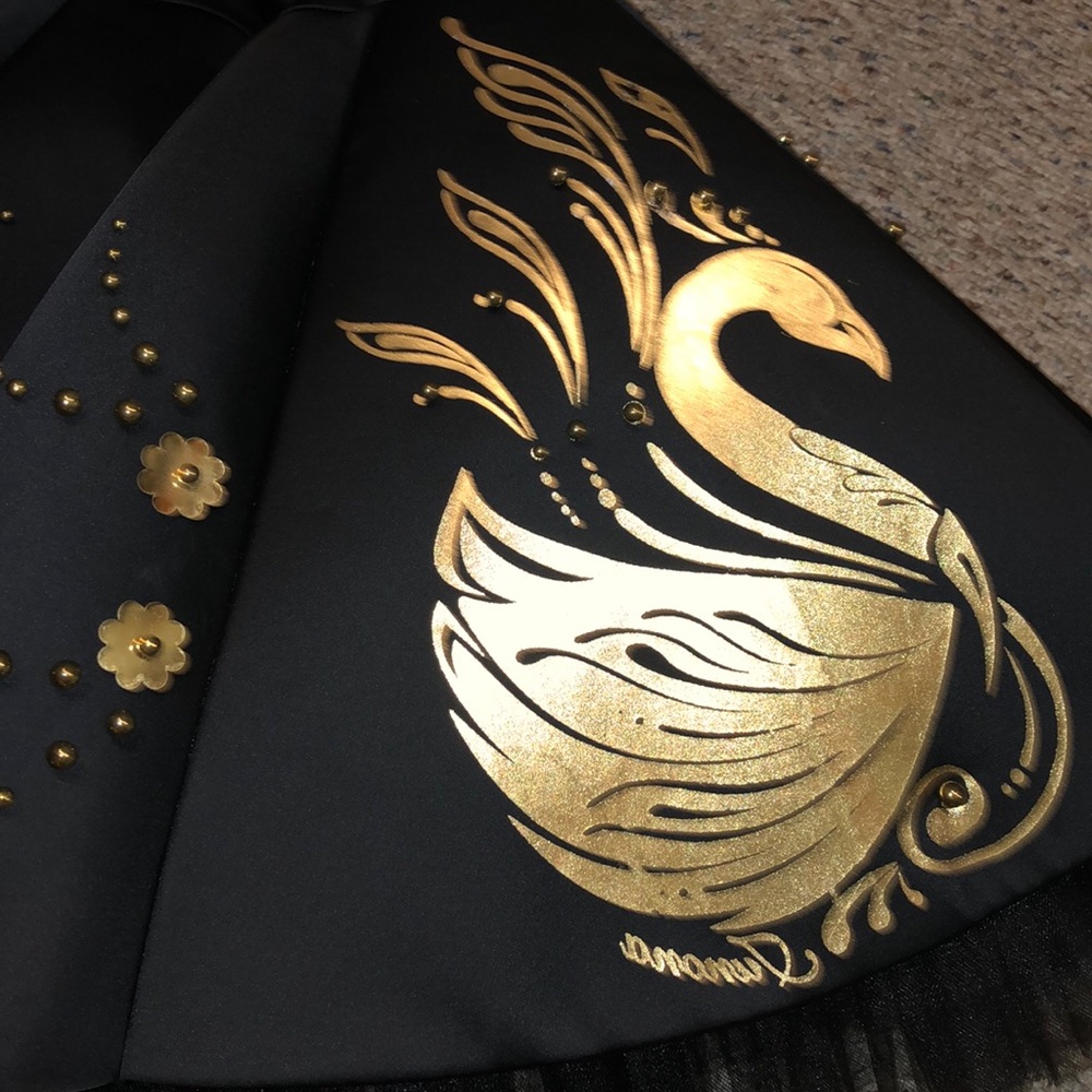Beautiful Black Swan Dress - Picture 4 of 7